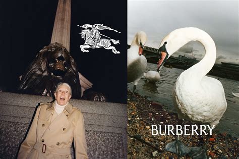 Burberry daniel lee campaign